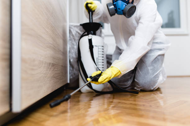 Best Termite Control Services  in Fort Riley, KS