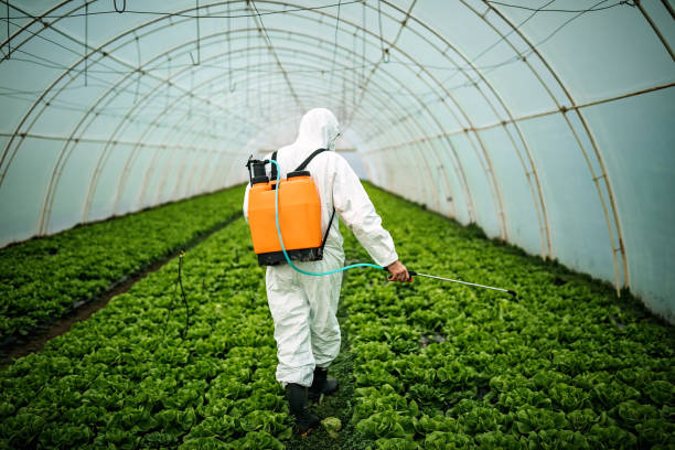 Reliable Fort Riley, KS Pest Control Solutions