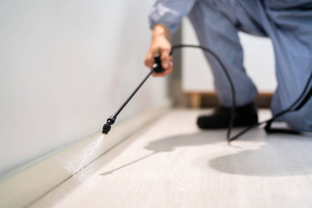 Pest Control for Restaurants in Fort Riley, KS