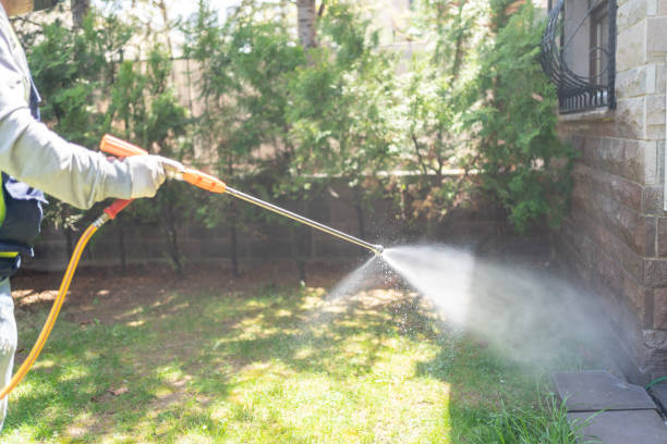 Best Wasp Removal Services  in Fort Riley, KS