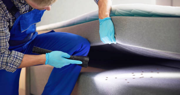 Best Emergency Pest Control  in Fort Riley, KS