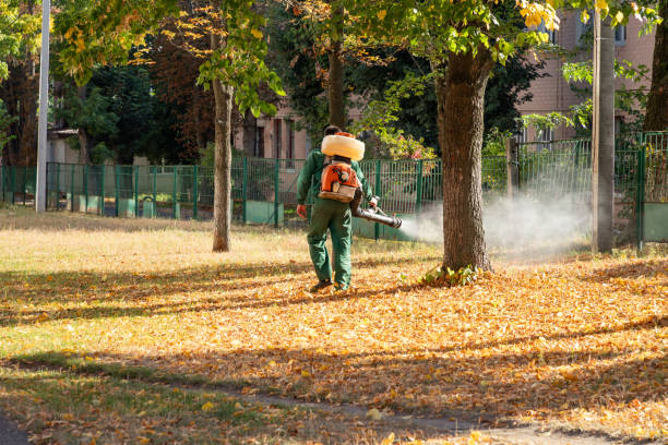 Best Mosquito Control Services  in Fort Riley, KS