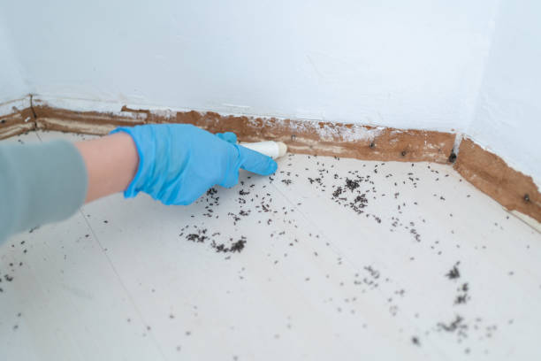 Best Best Pest Control Companies  in Fort Riley, KS